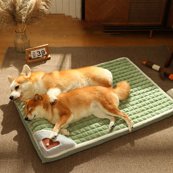 Premium Orthopedic Bed for Dogs and Cats