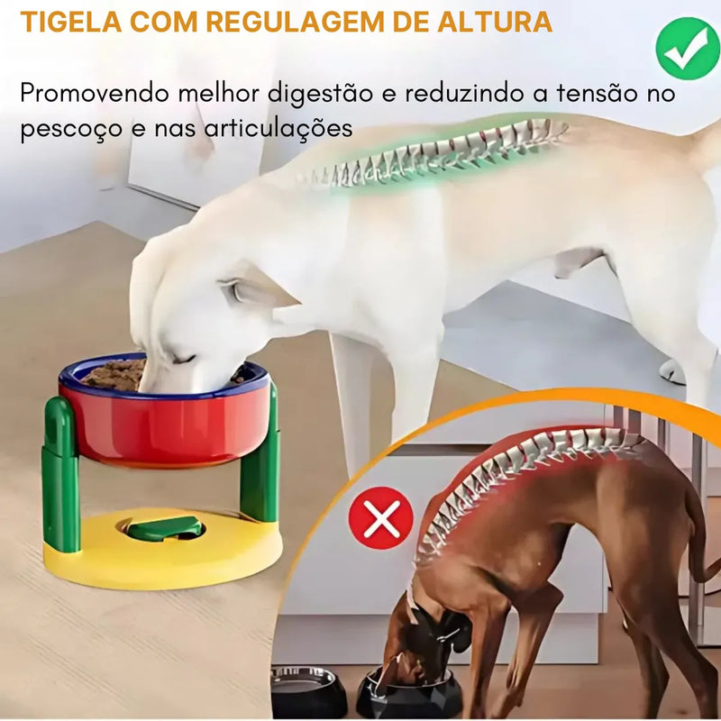 Tigela Ergonômica Ajustável para Pets