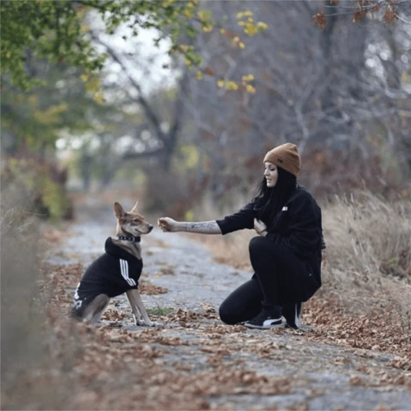 Moletom ADIDOG com Capuz para Cães de Todos os Portes