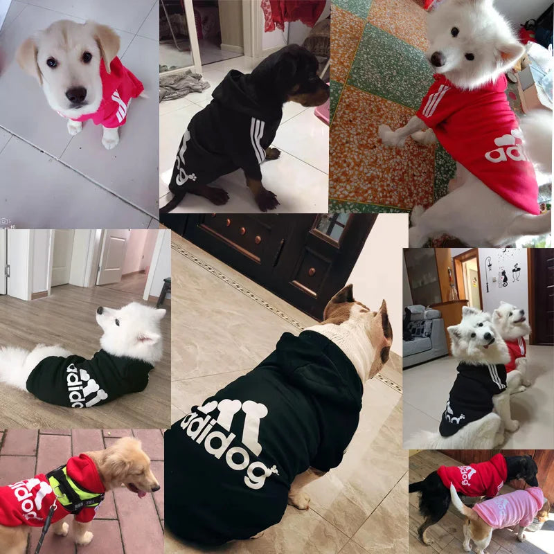 Moletom ADIDOG com Capuz para Cães de Todos os Portes