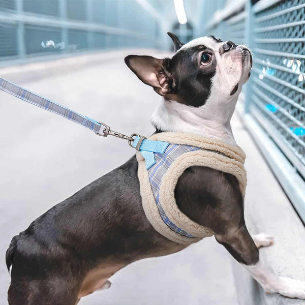 Peitoral Acolchoado Premium para Pets
