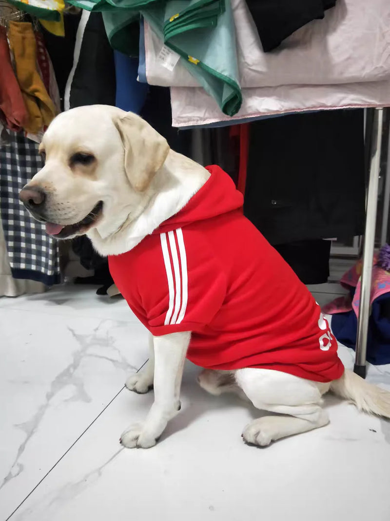 Moletom ADIDOG com Capuz para Cães de Todos os Portes