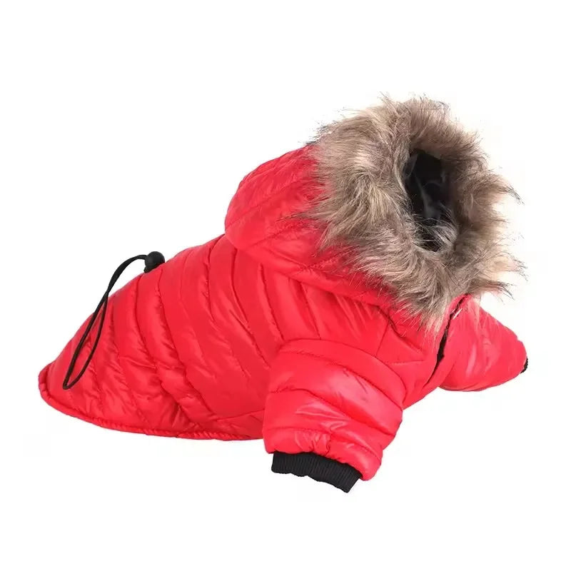 Jaqueta Pet – Conforto e Proteção Contra o Frio e a Chuva