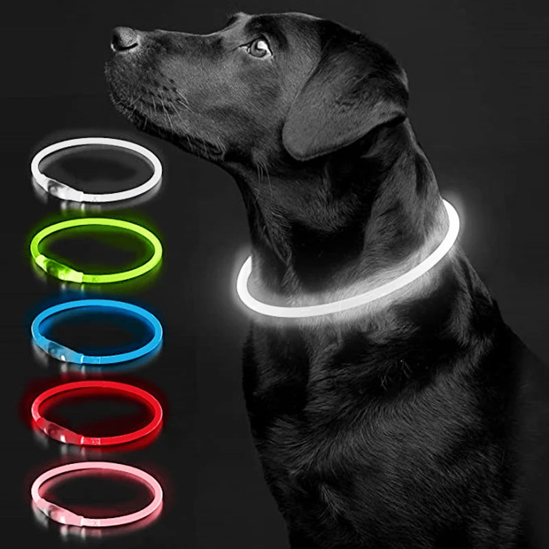 Luminous LED Pet Collar 