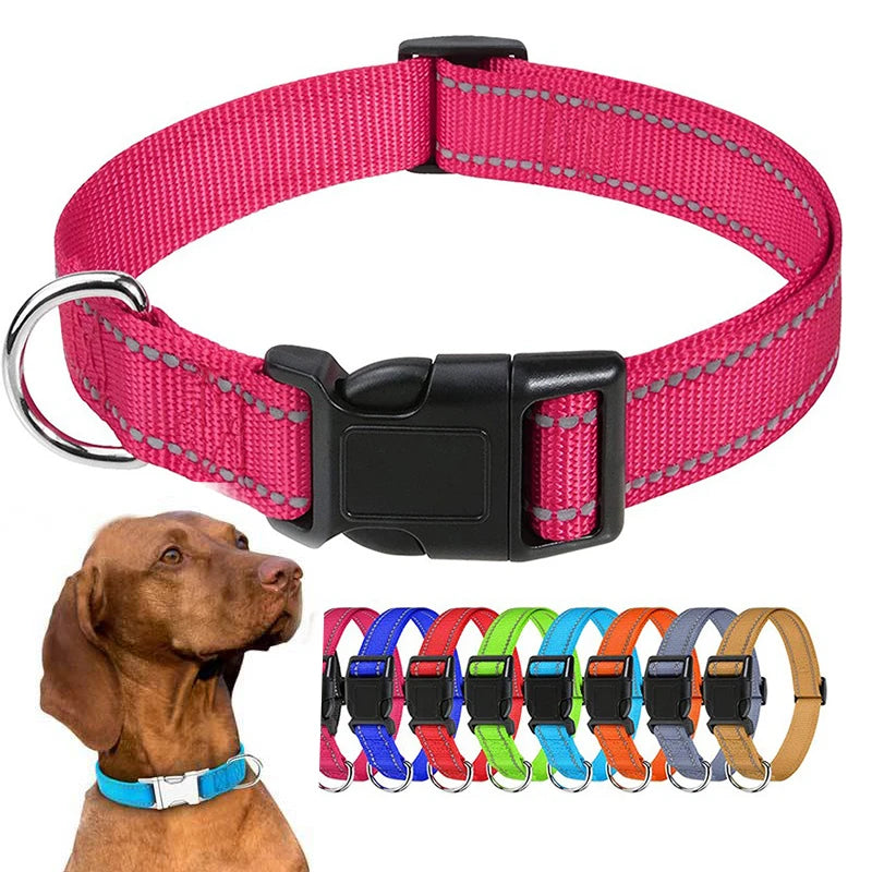 Coleira para Pets Elegantes