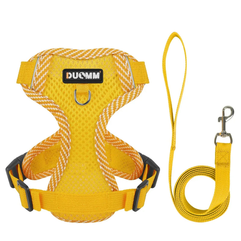 Conjunto Peitoral + Coleira Respirável para Cães e Gatos