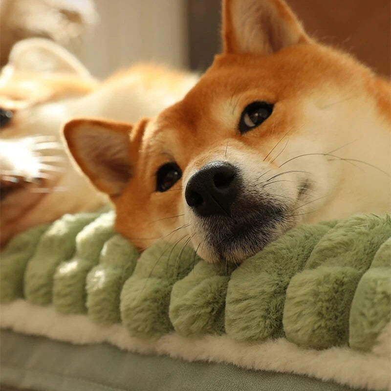 Premium Orthopedic Bed for Dogs and Cats