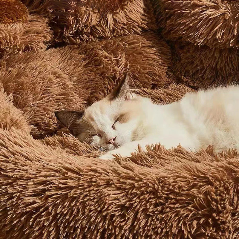 Paw-Shaped Bed – Comfort and Style for Your Pet