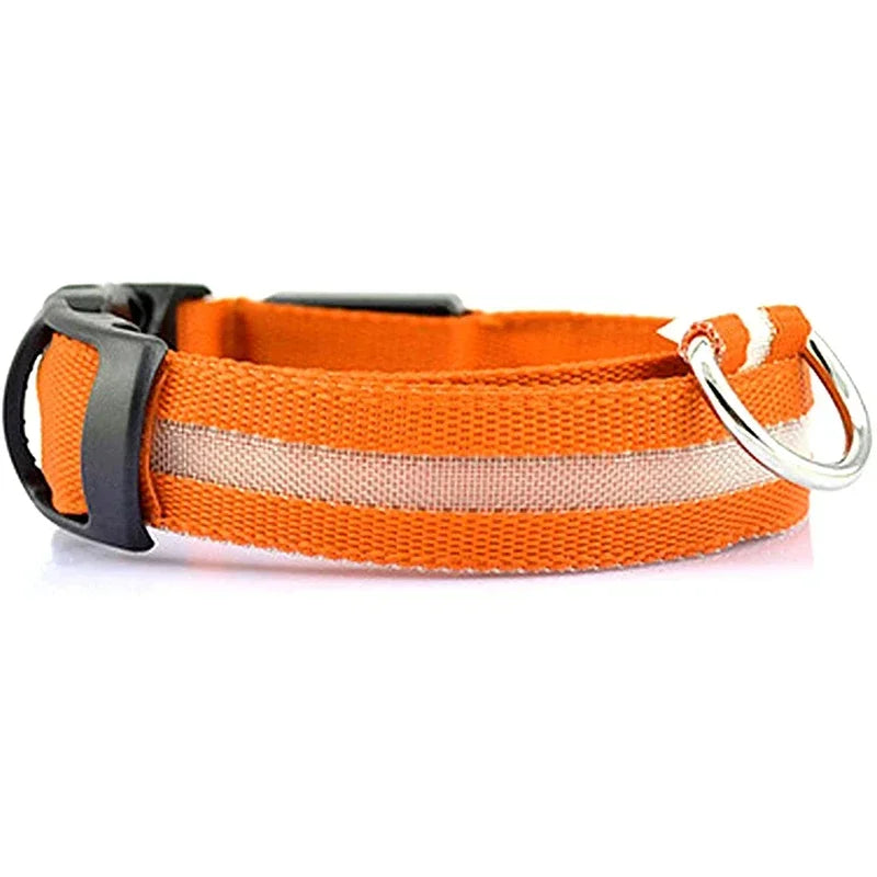 PetLuz LED - LED Luminous Collar 
