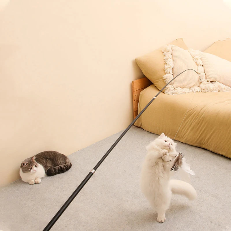 Vara Telescópica Interativa para Gatos