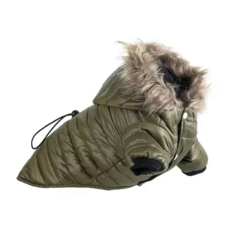 Jaqueta Pet – Conforto e Proteção Contra o Frio e a Chuva
