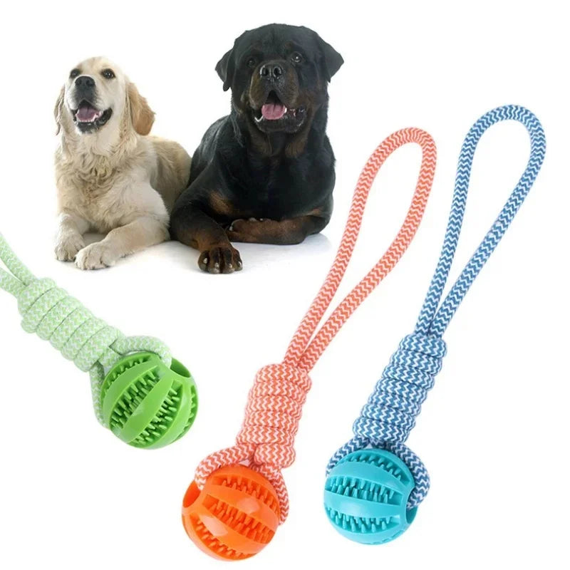 Bola Com Dispensador de Petiscos