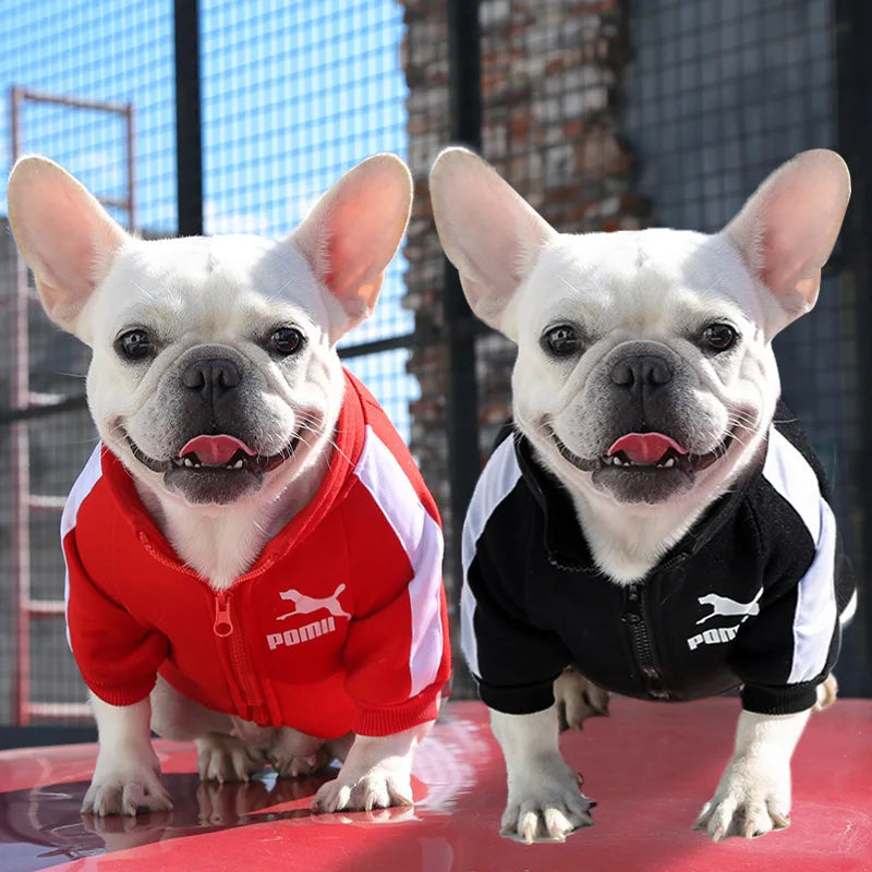 Jaqueta de Inverno para Cães