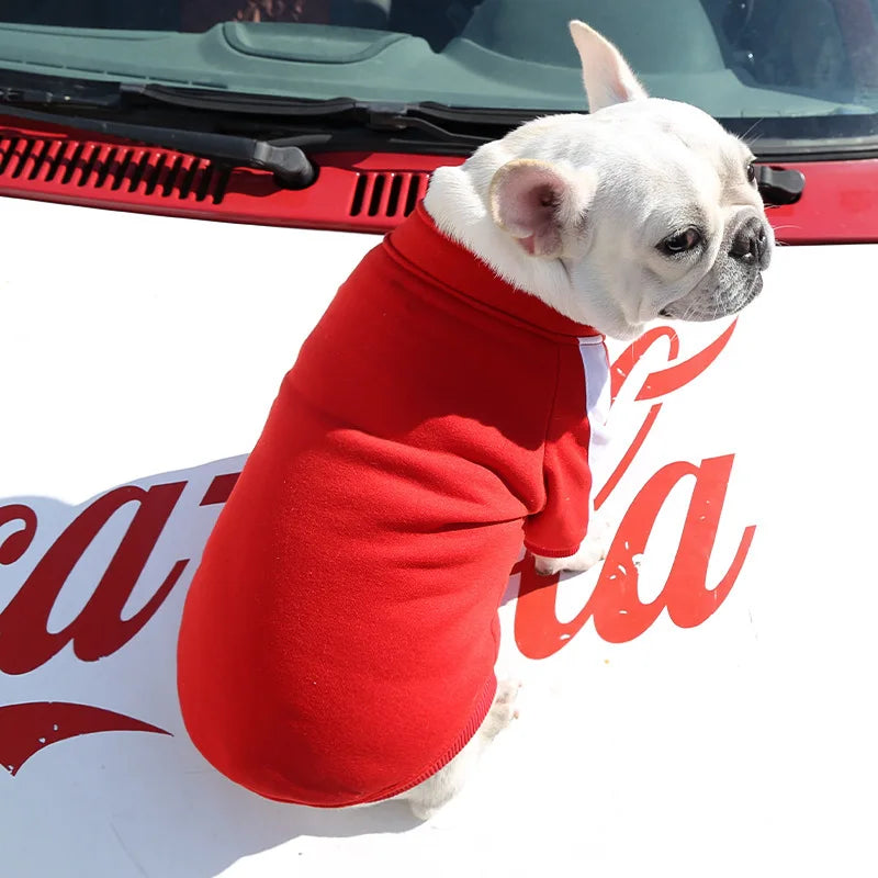 Jaqueta de Inverno para Cães