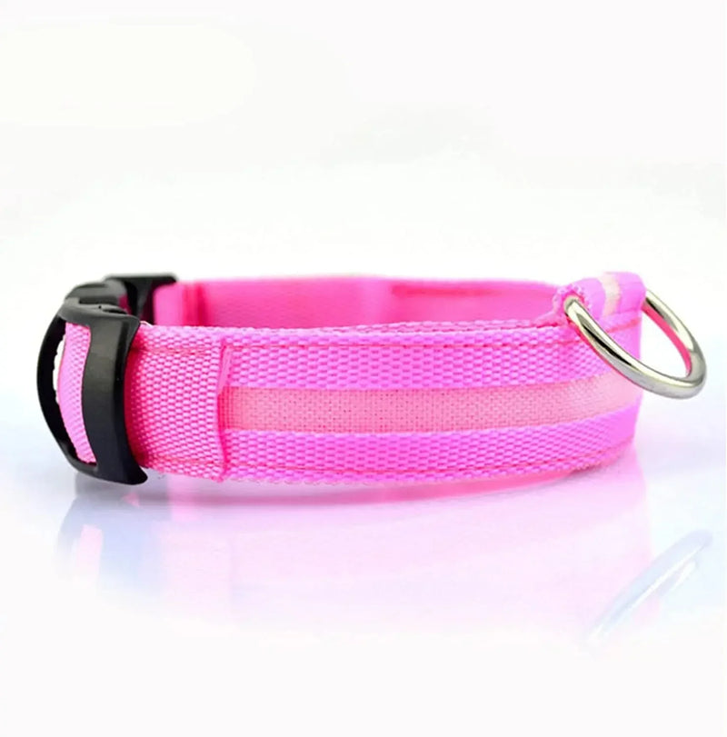 PetLuz LED - LED Luminous Collar 