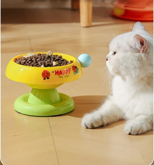 Tigela Elevada de Aço Inoxidável para Gatos