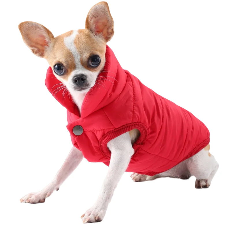 Jaqueta  à Prova de Vento para Cães