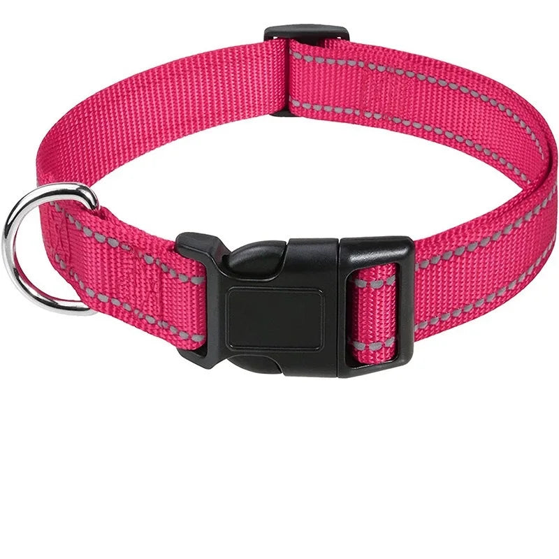 Coleira para Pets Elegantes