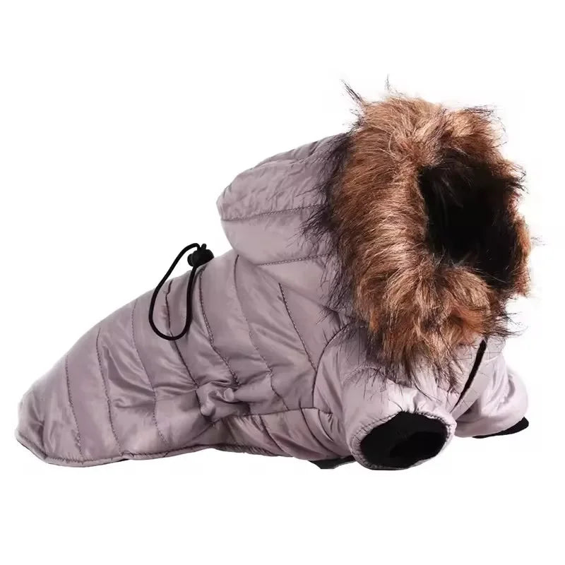 Jaqueta Pet – Conforto e Proteção Contra o Frio e a Chuva