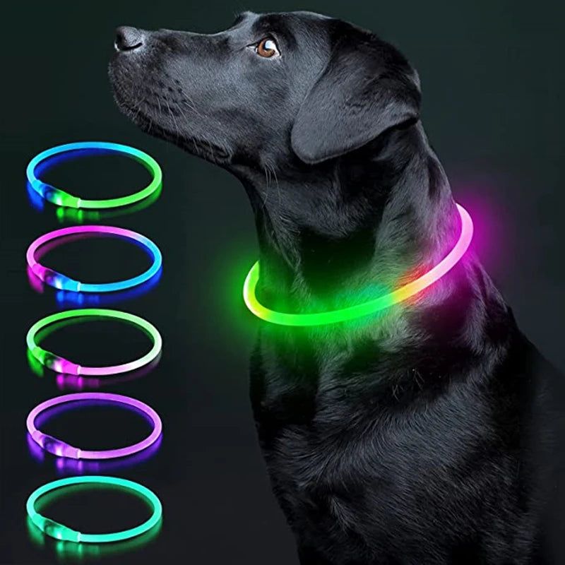 Luminous LED Pet Collar 