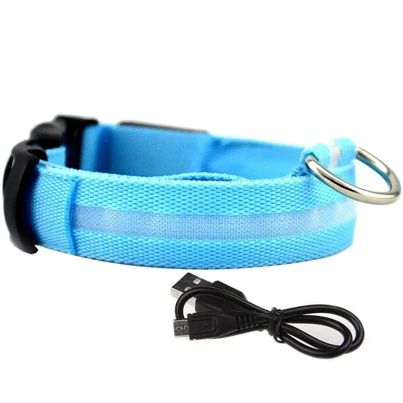 PetLuz LED - LED Luminous Collar 