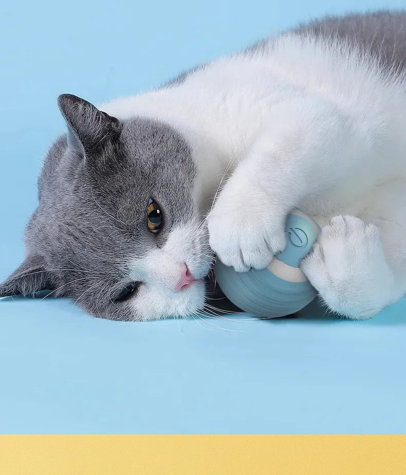 Bola Inteligente para Gatos e Cães