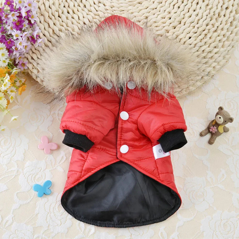 Jaqueta Pet – Conforto e Proteção Contra o Frio e a Chuva