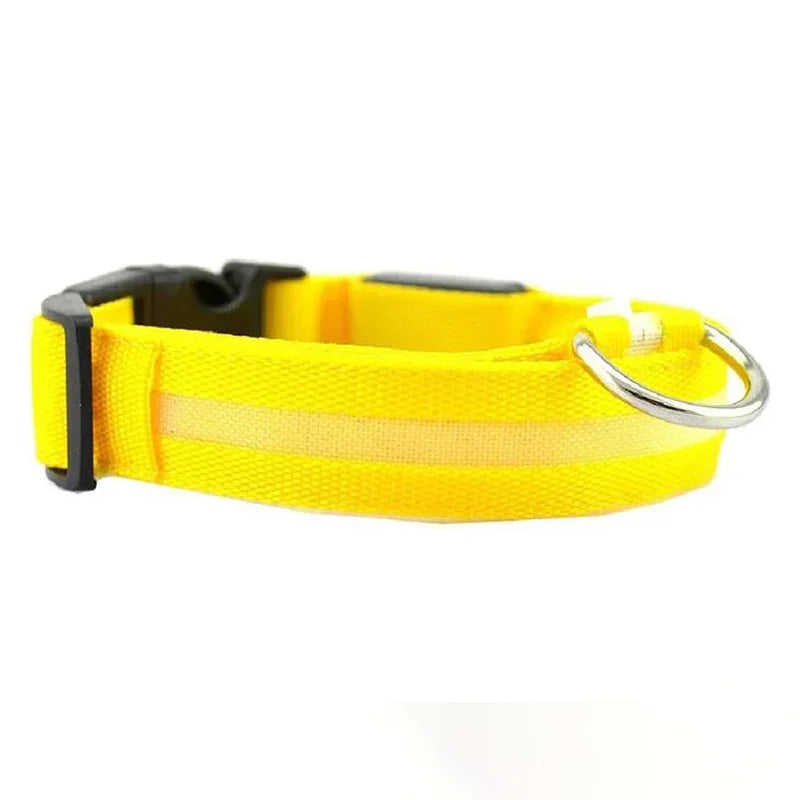PetLuz LED - LED Luminous Collar 