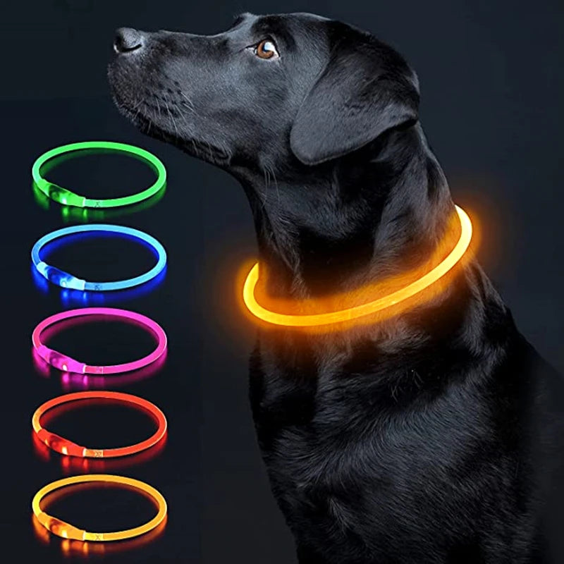 Luminous LED Pet Collar 