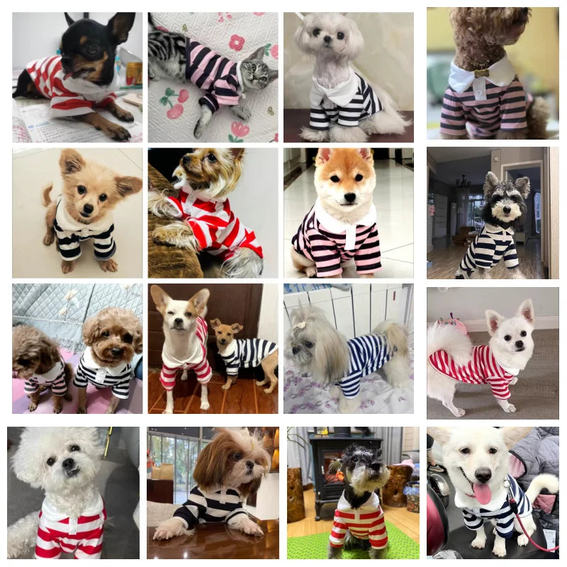 Camisa Polo de Verão para Cães e Gatos