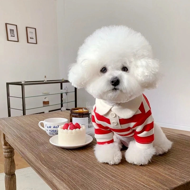 Camisa Polo de Verão para Cães e Gatos