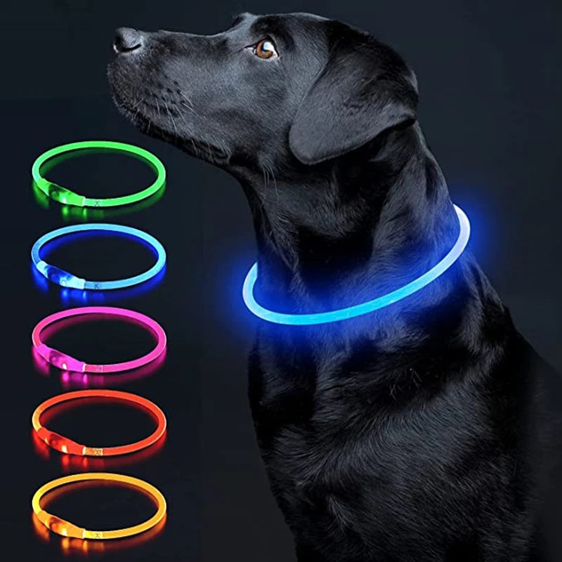 Luminous LED Pet Collar 