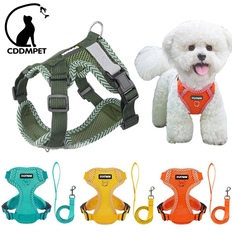 Conjunto Peitoral + Coleira Respirável para Cães e Gatos