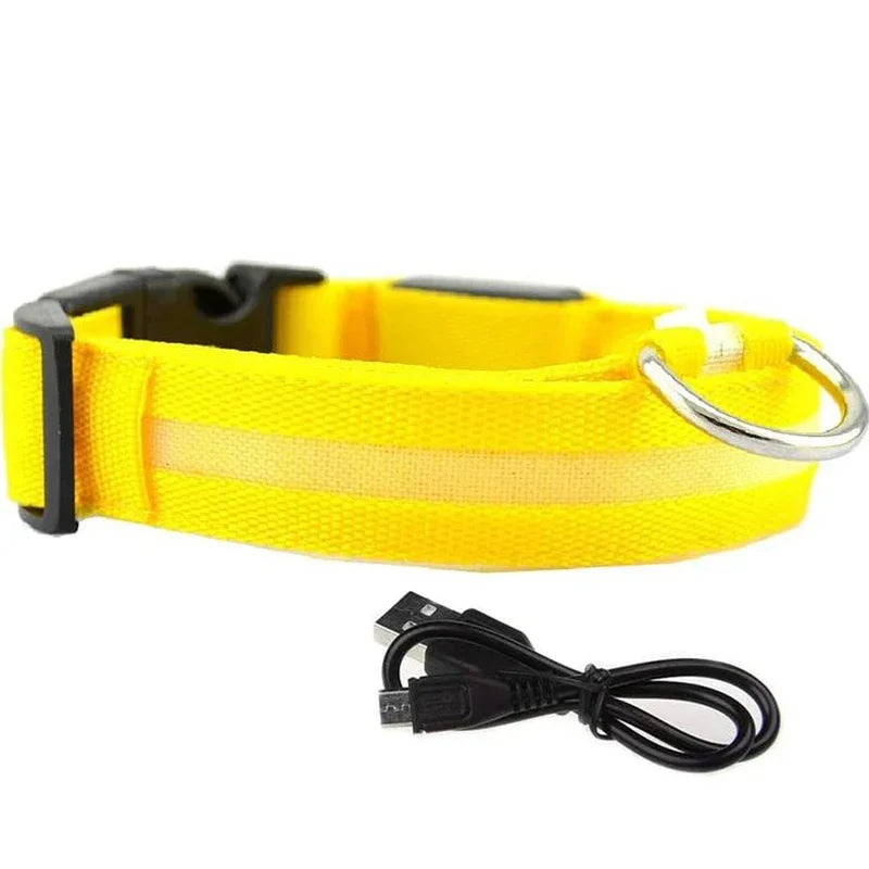 PetLuz LED - LED Luminous Collar 