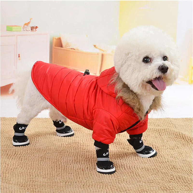 Jaqueta Pet – Conforto e Proteção Contra o Frio e a Chuva