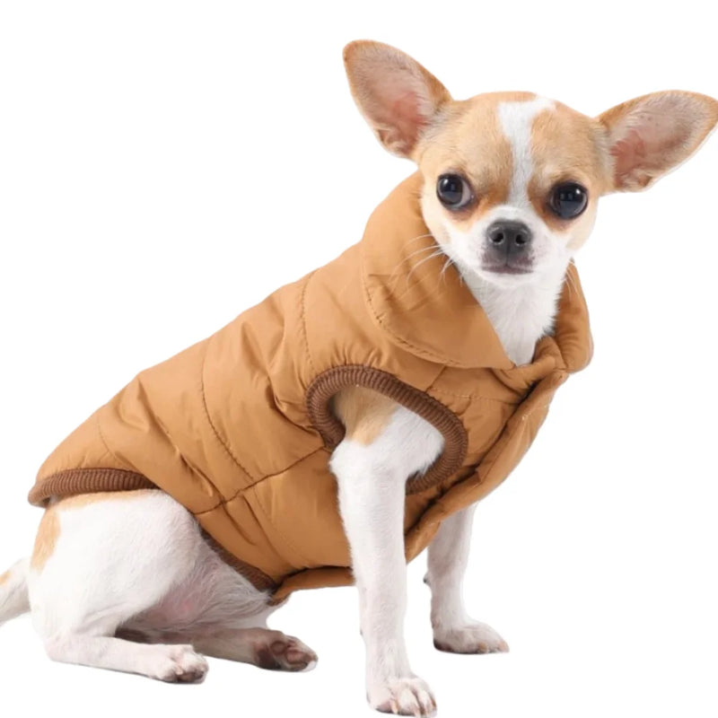Jaqueta  à Prova de Vento para Cães
