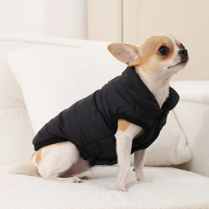 Jaqueta  à Prova de Vento para Cães