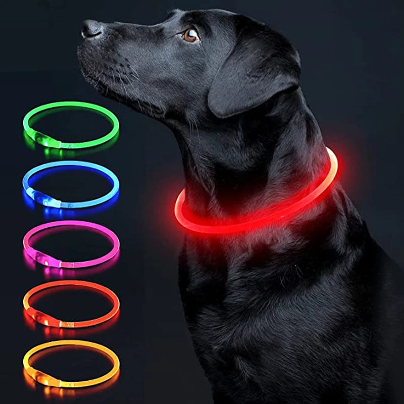 Luminous LED Pet Collar 