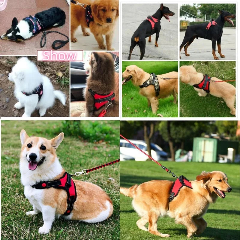 Peitoral Confortável e Seguro para Cães