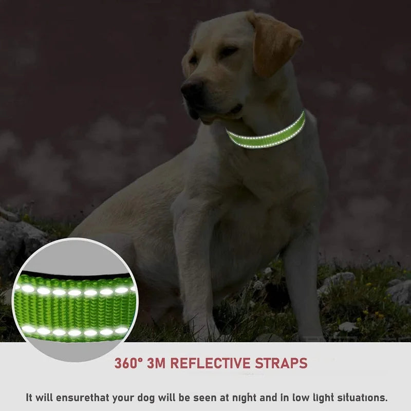 Coleira para Pets Elegantes