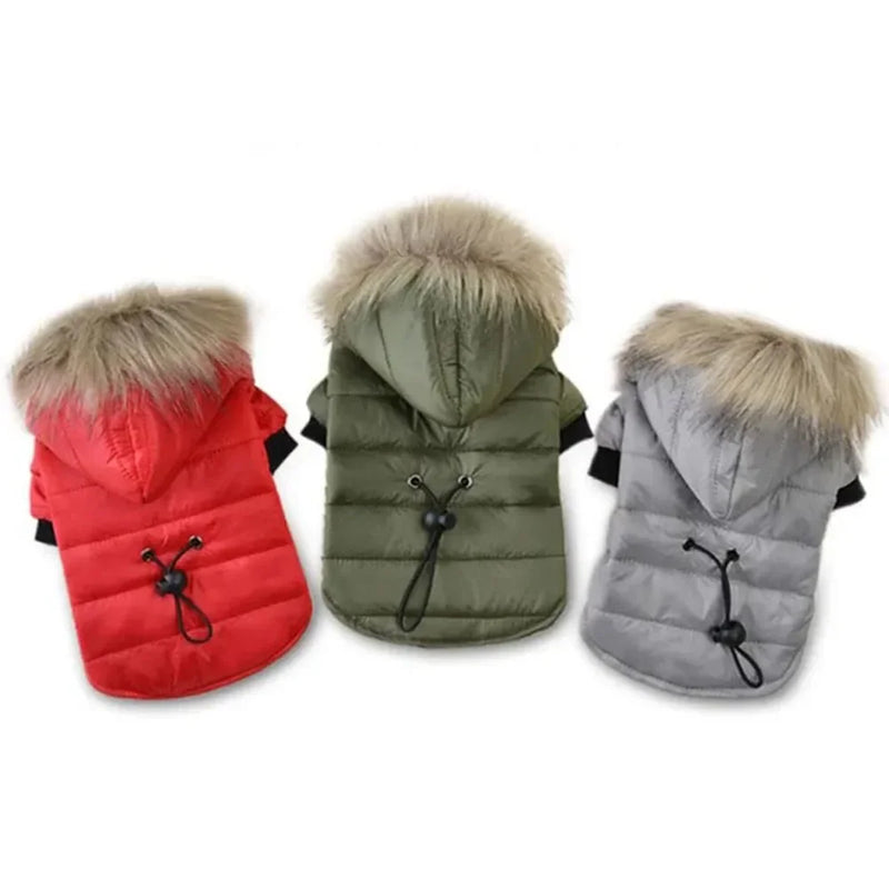 Jaqueta Pet – Conforto e Proteção Contra o Frio e a Chuva