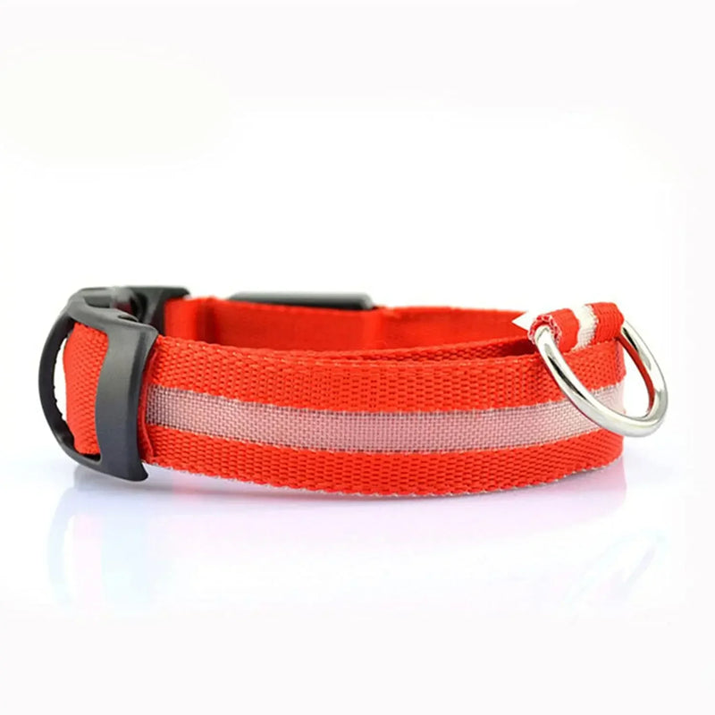 PetLuz LED - LED Luminous Collar 