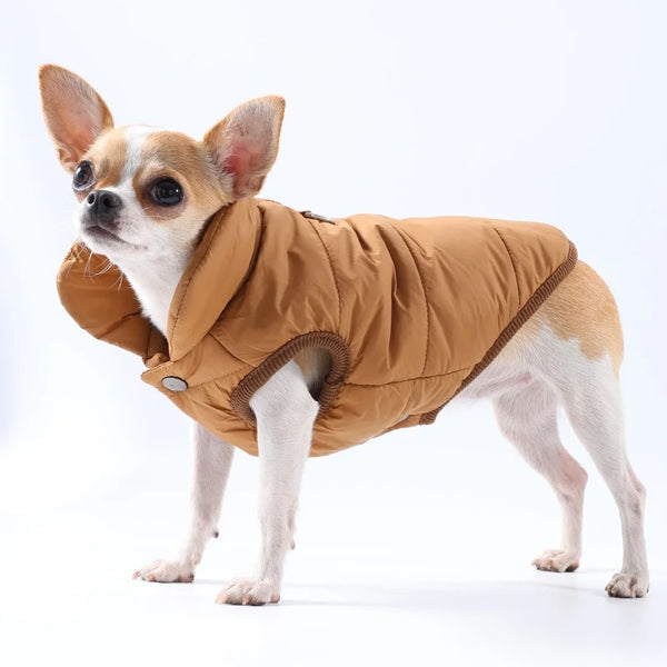 Jaqueta  à Prova de Vento para Cães