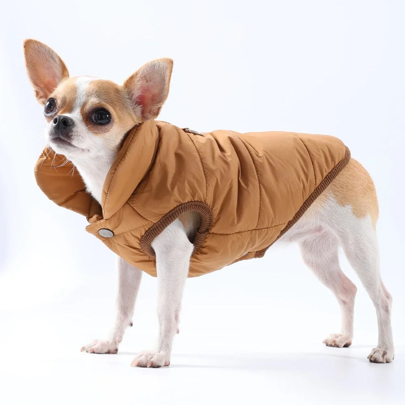 Jaqueta  à Prova de Vento para Cães