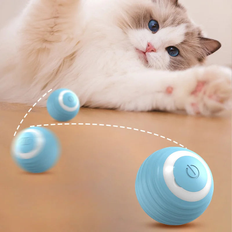 Bola Inteligente para Gatos e Cães
