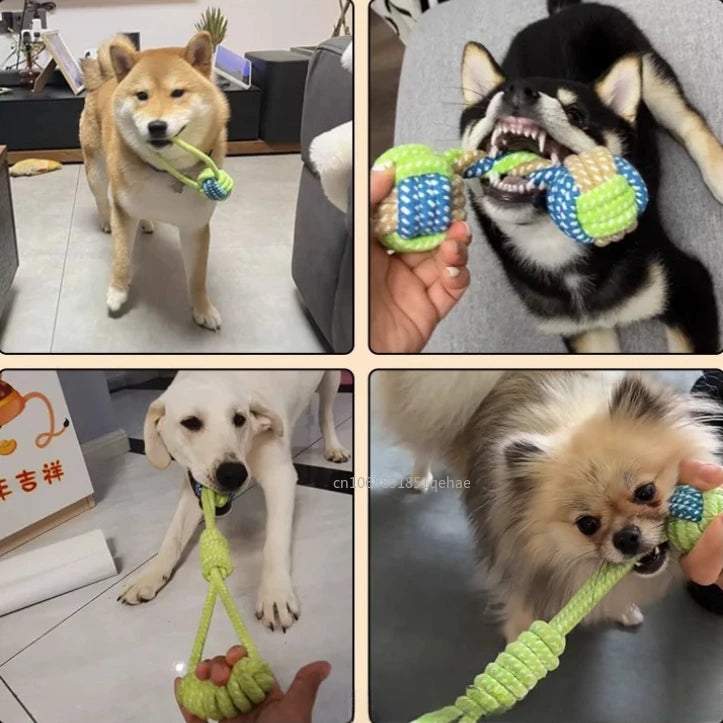 Brinquedo Interativo de Corda para Cães