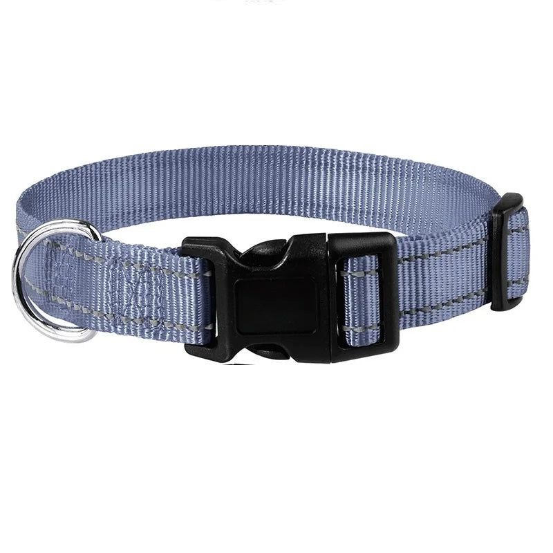 Coleira para Pets Elegantes