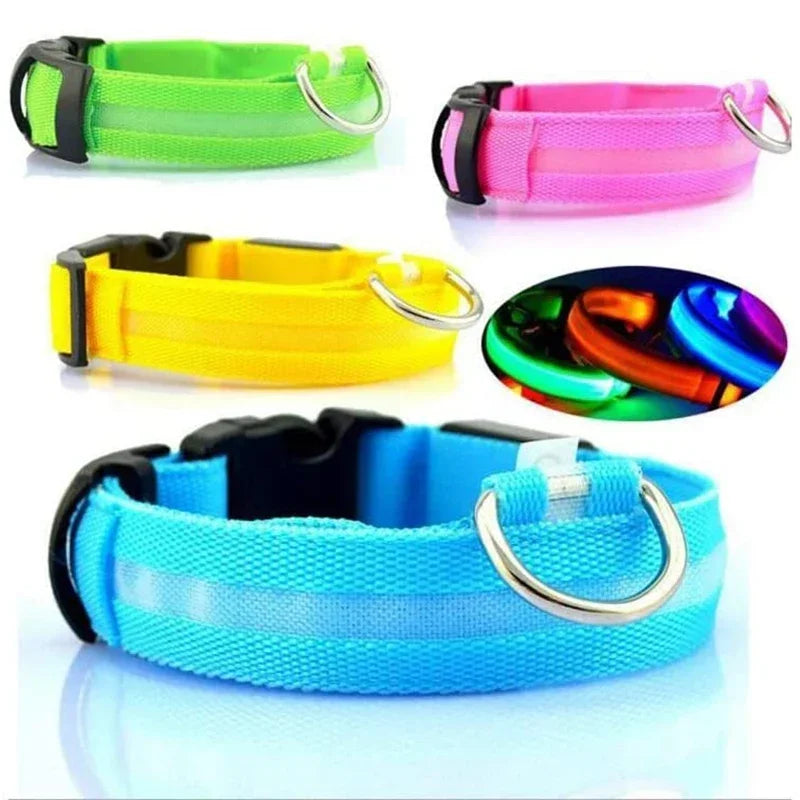 PetLuz LED - LED Luminous Collar 