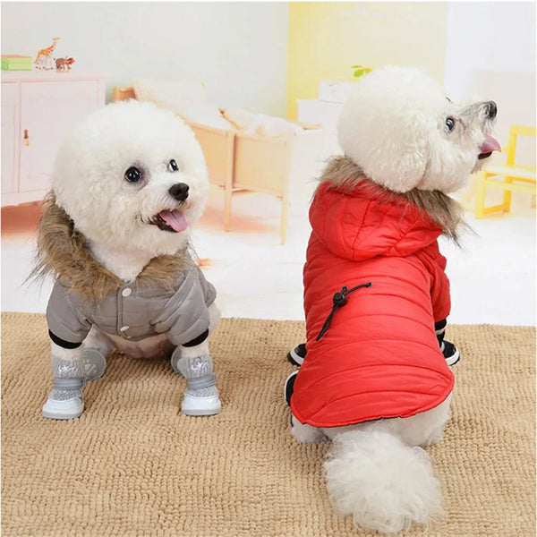 Jaqueta Pet – Conforto e Proteção Contra o Frio e a Chuva