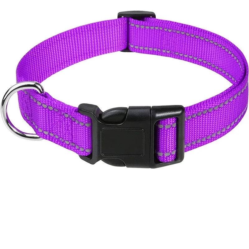 Coleira para Pets Elegantes